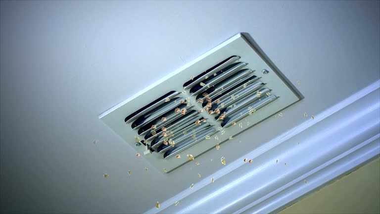 Best Best Air Duct Cleaning Company  in Elmwood, LA