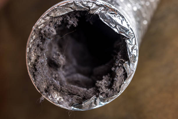 Best Professional Duct Cleaning Services  in Elmwood, LA