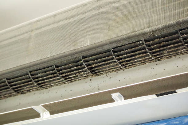 Best General Air Duct Cleaning  in Elmwood, LA
